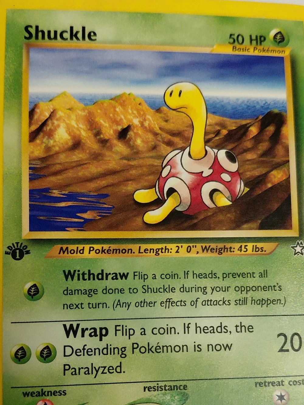 1st Edition Vintage Shuckle - Neo Discovery Pokemon Card